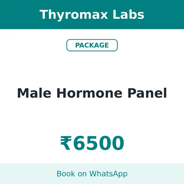 Male Hormone Panel – ₹6500 at Thyromax Labs