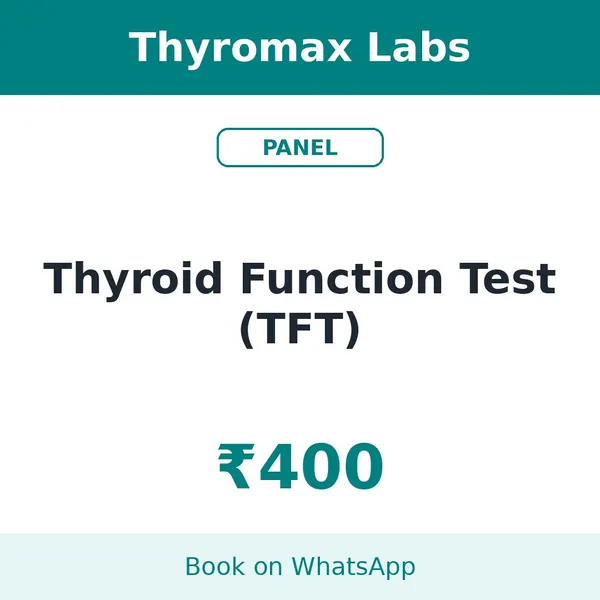 Thyroid Function Test (TFT) – ₹400 at Thyromax Labs