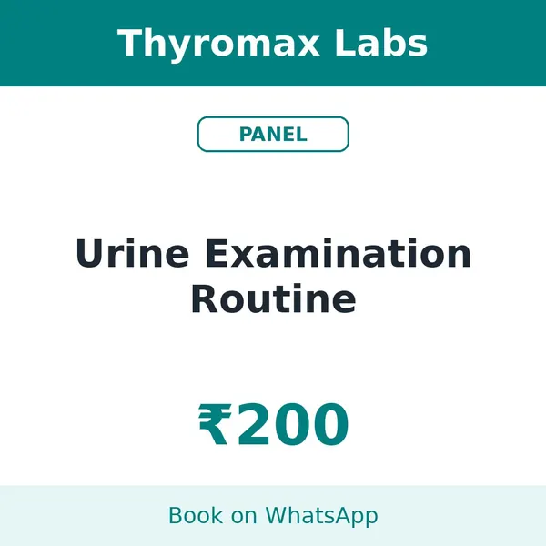 Urine Examination Routine – ₹200 at Thyromax Labs
