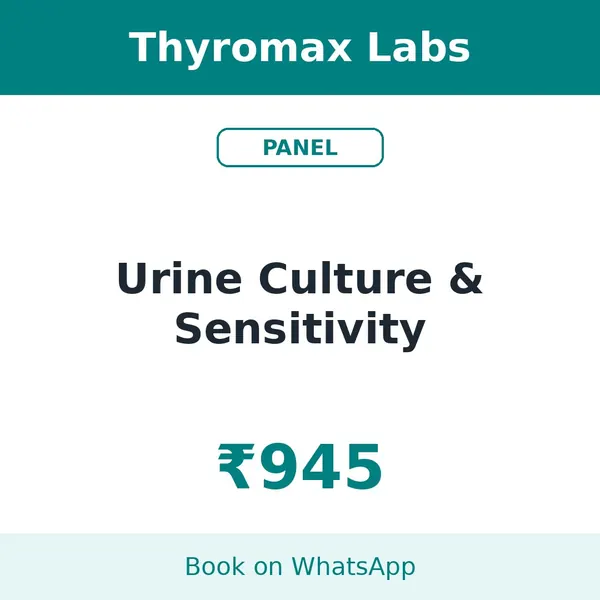 Urine Culture & Sensitivity – ₹945 at Thyromax Labs