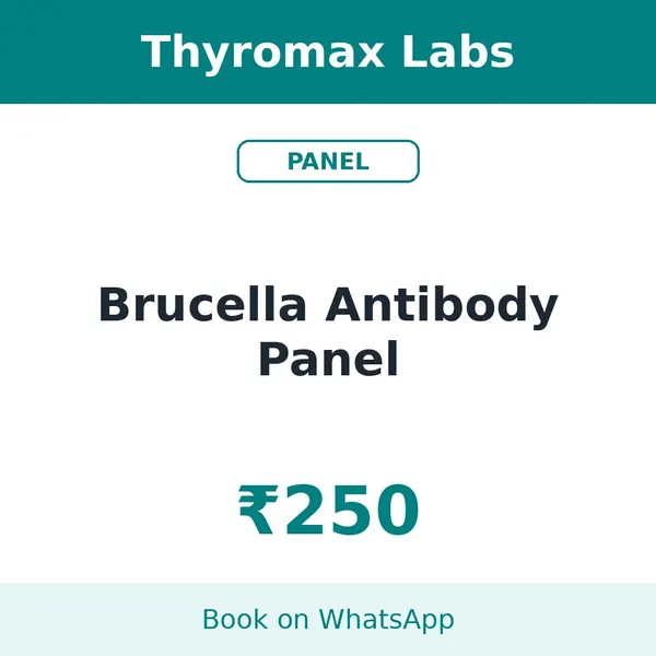 Brucella Antibody Panel – ₹250 at Thyromax Labs