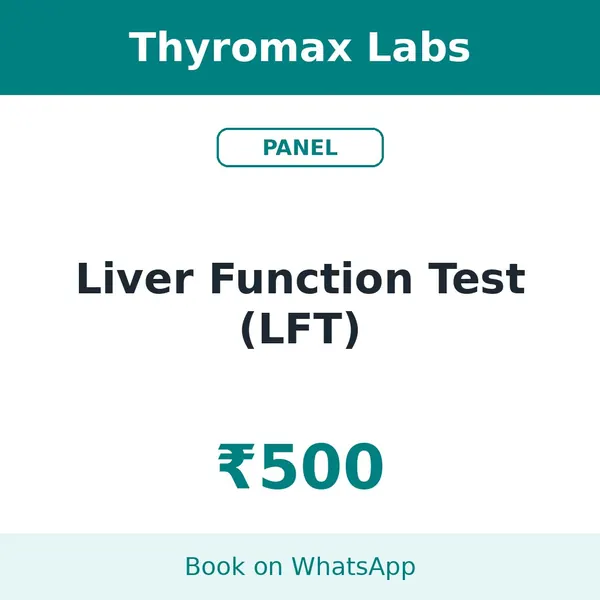 Liver Function Test (LFT) – ₹500 at Thyromax Labs