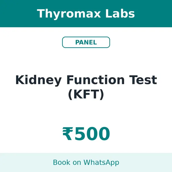 Kidney Function Test (KFT) – ₹500 at Thyromax Labs