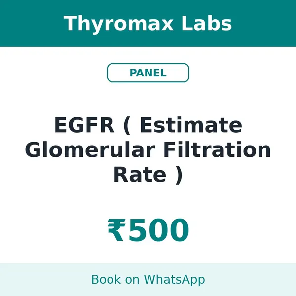 EGFR ( Estimate Glomerular Filtration Rate ) – ₹500 at Thyromax Labs