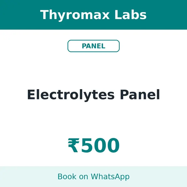 Electrolytes Panel – ₹500 at Thyromax Labs