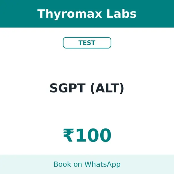SGPT (ALT) – ₹100 at Thyromax Labs