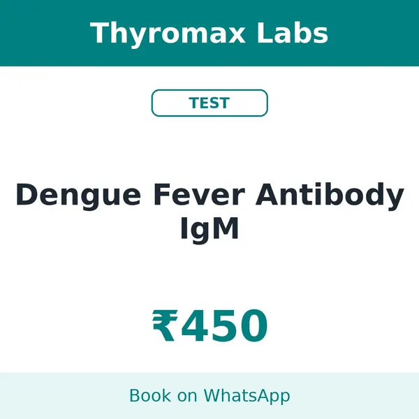 Dengue Fever Antibody IgM – ₹450 at Thyromax Labs