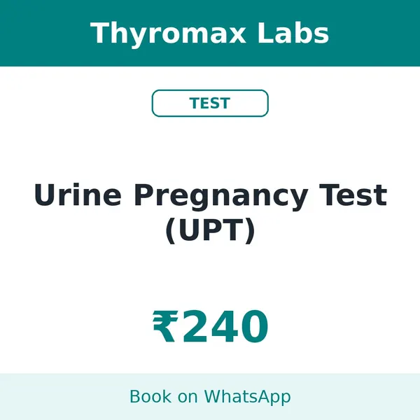 Urine Pregnancy Test (UPT) – ₹240 at Thyromax Labs