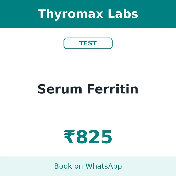 Serum Ferritin – ₹825 at Thyromax Labs